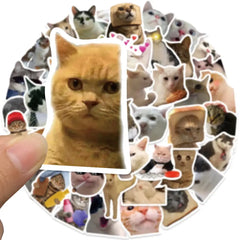 50PCS Cat Stickers