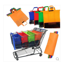 Supermarket Shopping Bags