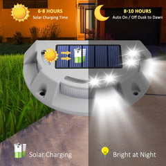 Solar Driveway Lights